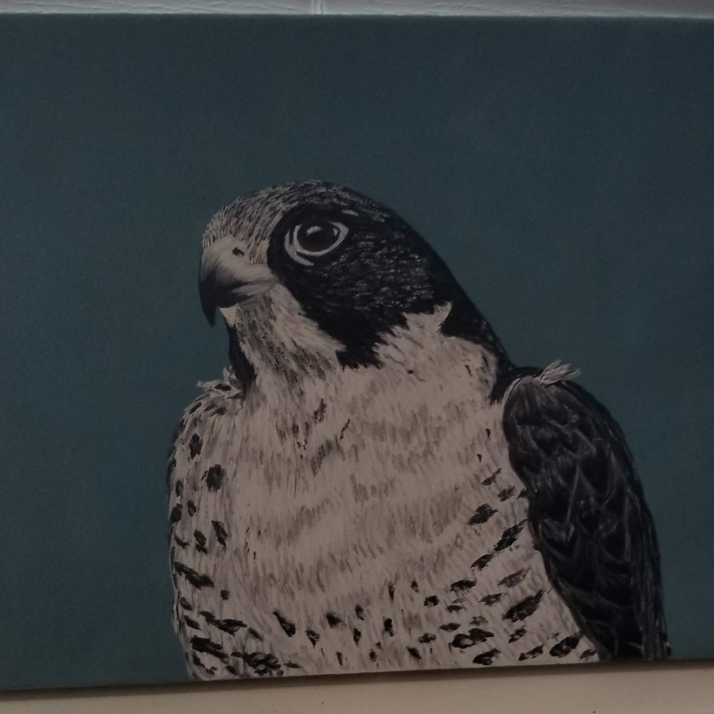 Custom animal portraits